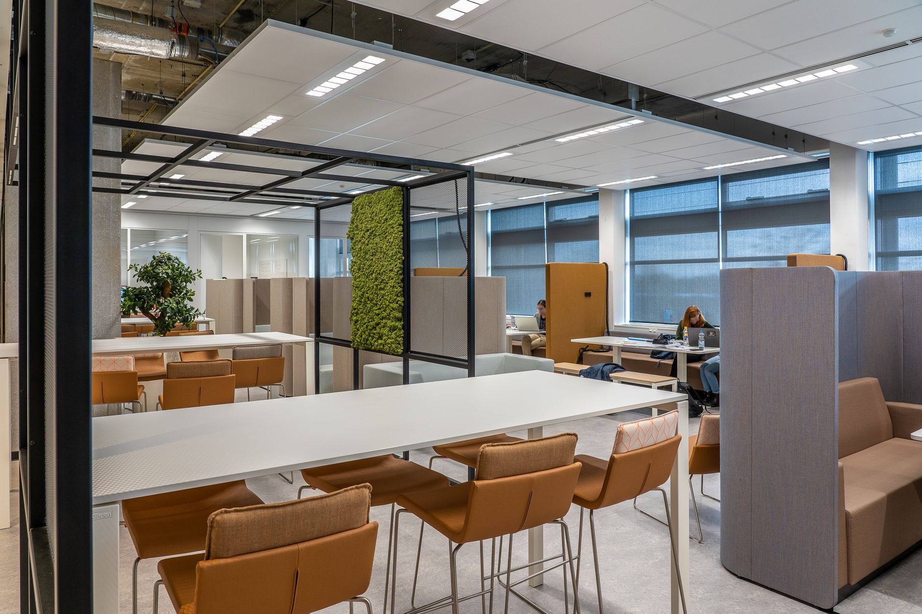 A spacious coworking office featuring modern design and natural decor elements for a collaborative environment.